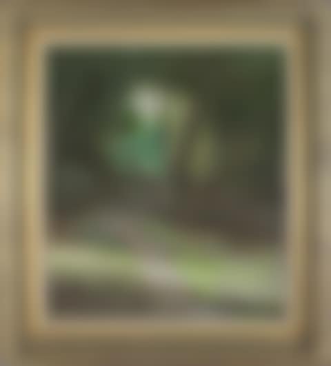 (Path Through the Ti-Trees) (preview)