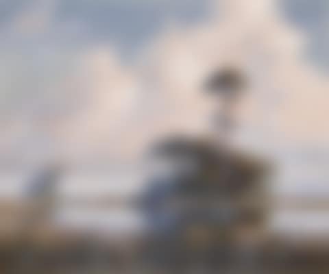 Everglades Dawn (preview)
