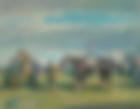 After the Race, Cheltenham (preview)