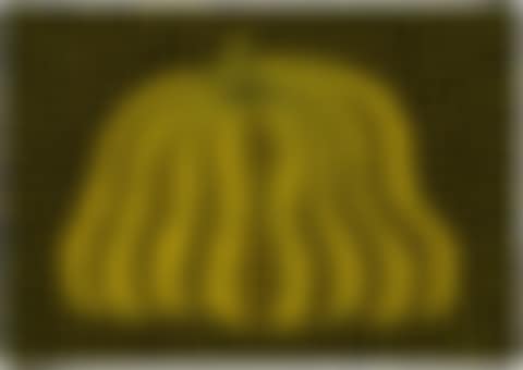 Pumpkin [TWO] 南瓜[TWO] (preview)
