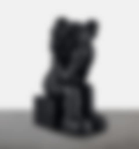 Companion (Passing Through) 同伴（PASSING THROUGH） (preview)