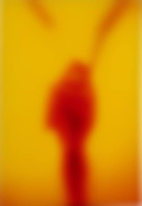 Winged Victory (preview)