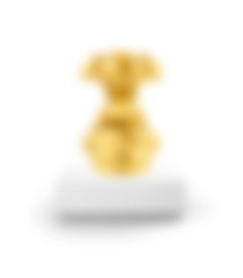 Ponchi-kun Gold PONCH (preview)