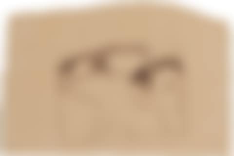 Drawing for Long-Delayed Nude (preview)
