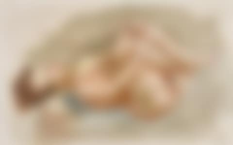 Akt (Nude) (preview)