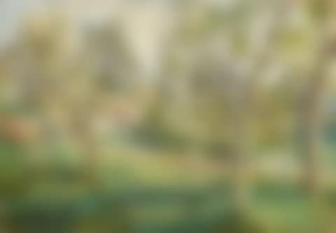 Vezillon, arbres en fleurs au printemps (preview)