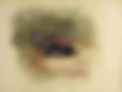 Study of a mole (preview)