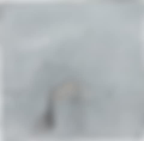 Untitled (green, green, green...) (preview)