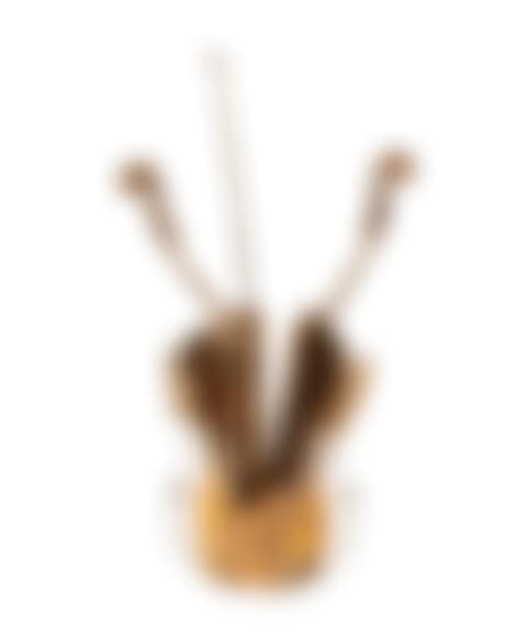 Violon de Venise (preview)