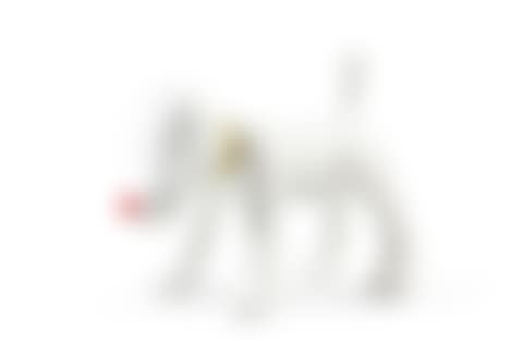Doggy Radio (preview)
