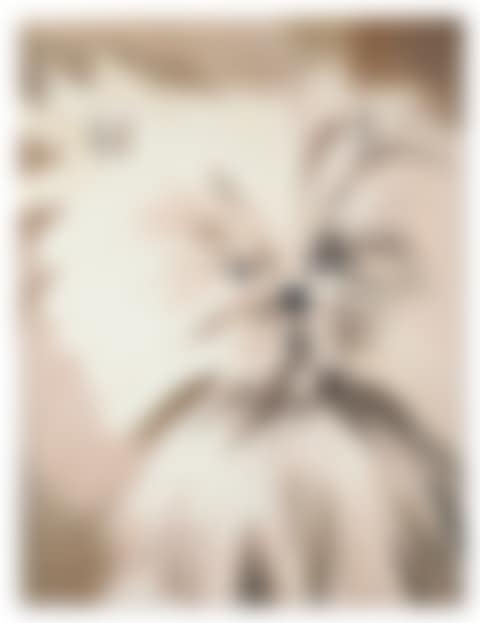 Oh Dear Painter, Not Again (preview)