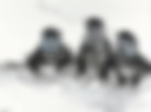 Paper Mask (preview)