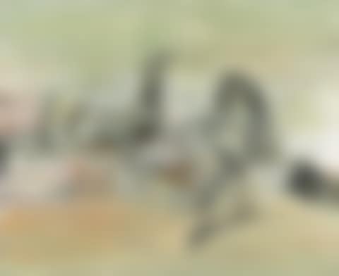 30.11.94 (preview)