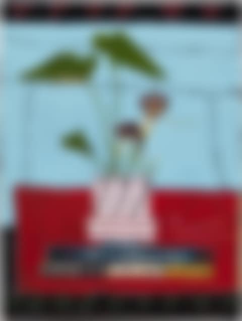 Not If I See You First (preview)