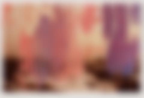 4. Febr. (preview)