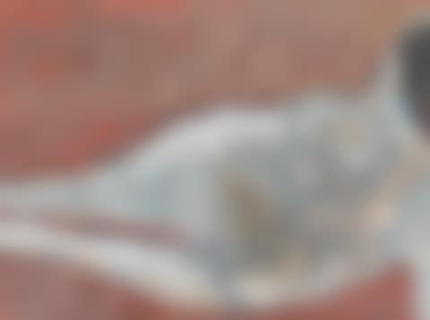 Reclining Nude (preview)