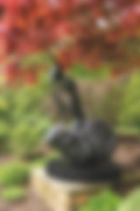 Thinker on Rock (preview)