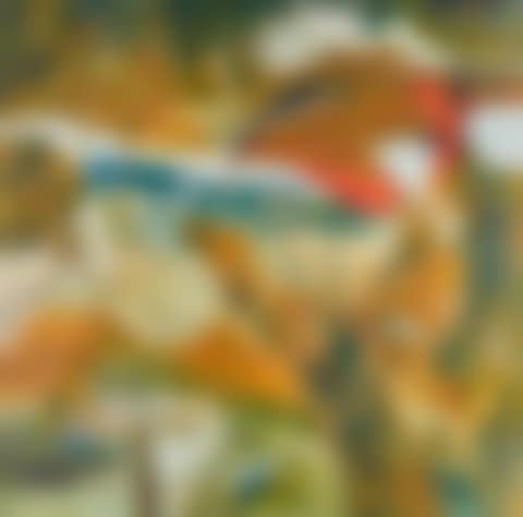 Untitled (preview)
