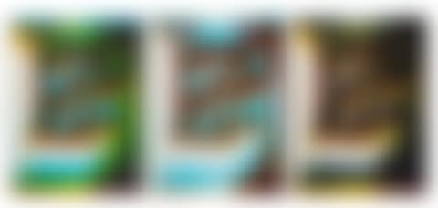 My House I, II, and III (preview)