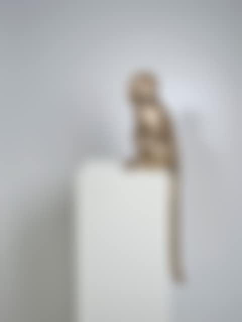 Singe attentif (preview)