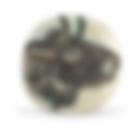 Bull's Profile (preview)