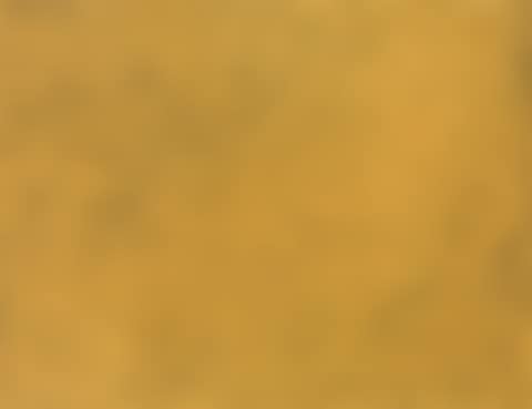 Gold Sky Nets (preview)
