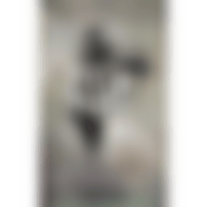 Blur "Think Tank" Promo Poster designed by BANKSY (preview)