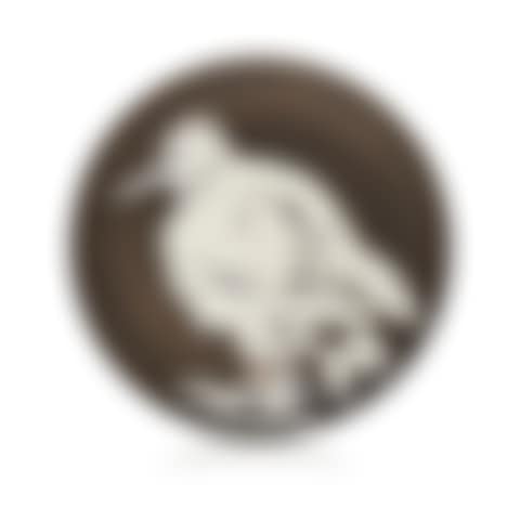 Oiseau no. 76 (A.R. 481) (preview)
