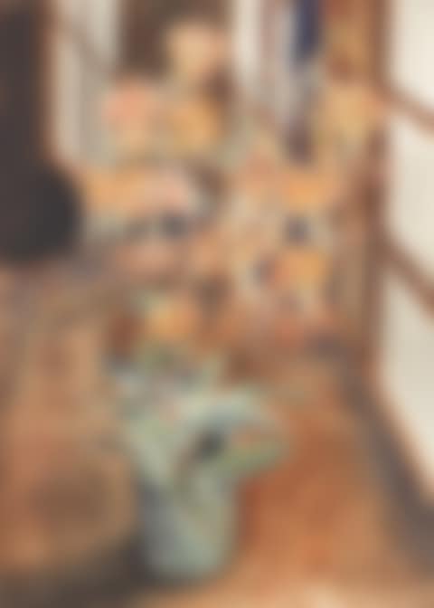 Tiger Lilies. (preview)