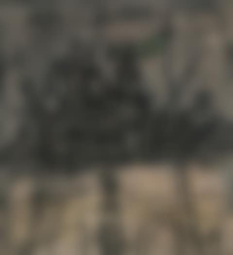 Untitled (Citadel with Flag) (preview)