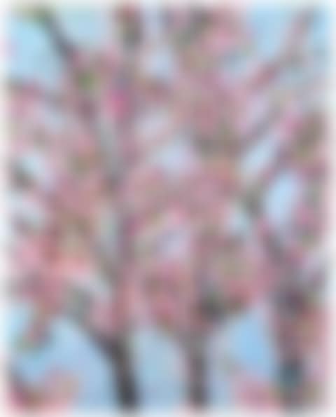 Control (H9-8), from the series: The Virtues (preview)