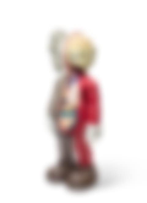 FOUR-FOOT DISSECTED COMPANION (BROWN) (preview)