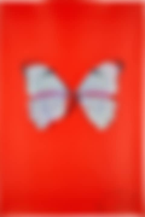 Untitled (Red Butterfly) (preview)