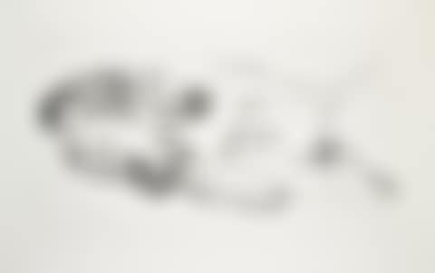 Monica Nude and the Purple Robe (preview)