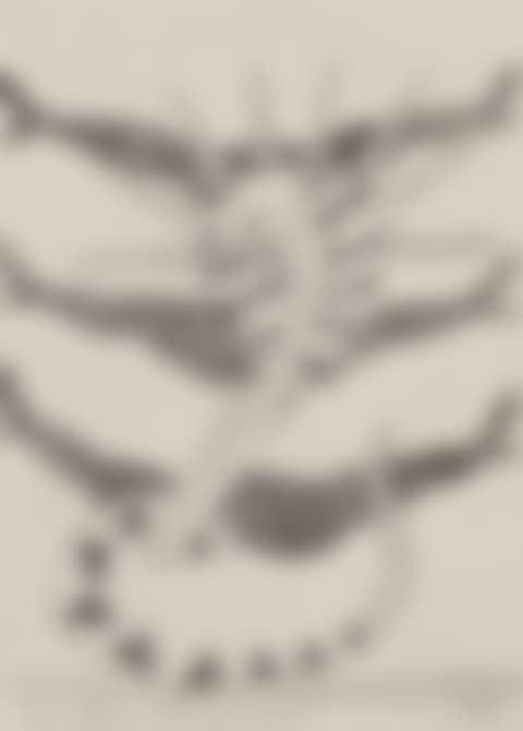 I'll see you soon (preview)