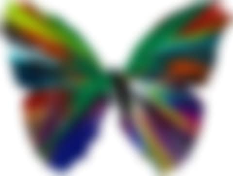 Untitled (Butterfly Spin Painting)  (preview)