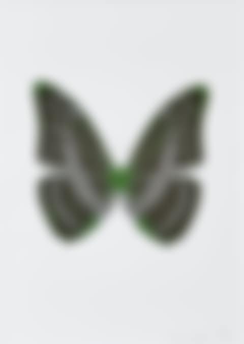 The Souls – Green / Silver Gloss (preview)