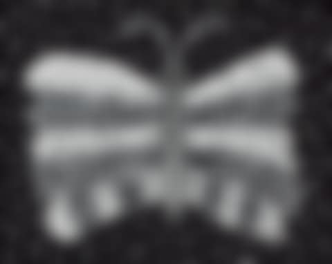 Butterfly (preview)