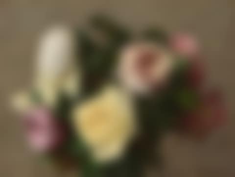 Roses (preview)
