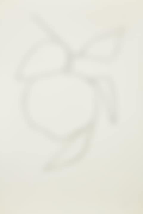 Tangerine (Manderine), from Suite of Plant Lithographs (A. 34) (preview)