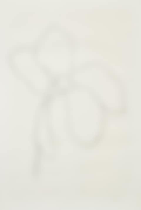 Cyclamen III, from Suite of Plant Lithographs (A. 38) (preview)