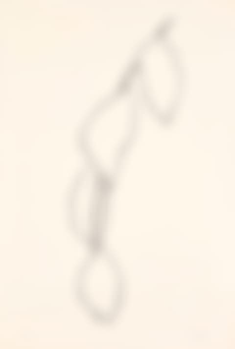 Lemon Branch (Branche de Citorn), from Suite of Plant Lithographs (A. 57) (preview)