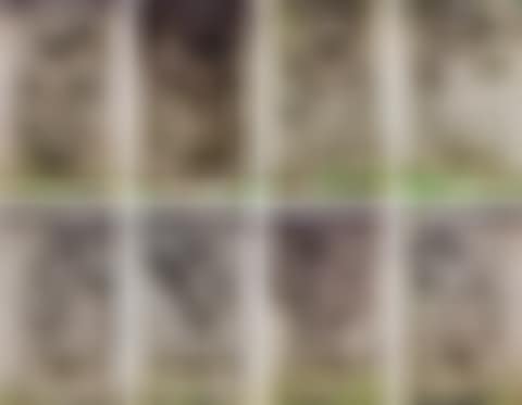 금강역사상 8점 일괄 金剛力士像 八點 一括 (preview)