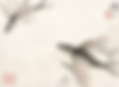 Flying Fish (preview)