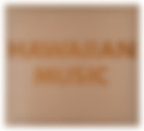 Hawaiian Music (preview)