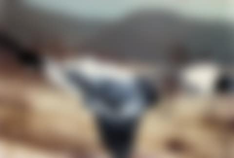 8.2.92 (preview)