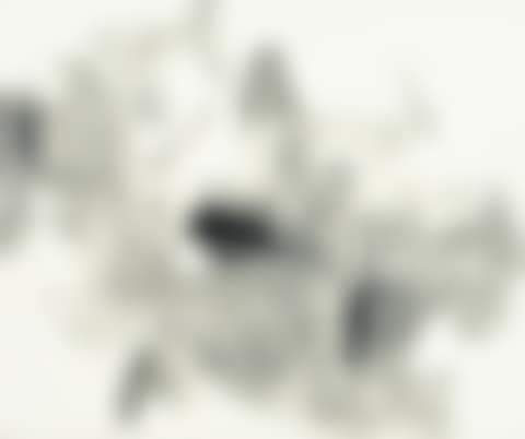 With Winds (preview)