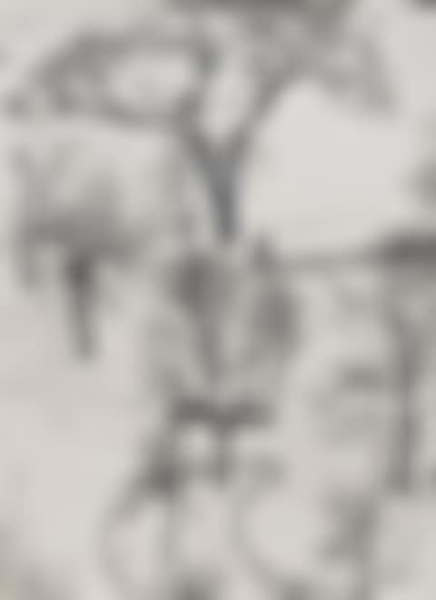 Washington Square, Winter (preview)