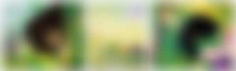 Buildinghead: Chamaeleon; Buildinghead: Palm Trees; and Yuyake-chan Miss Sunset (Three Works) (preview)