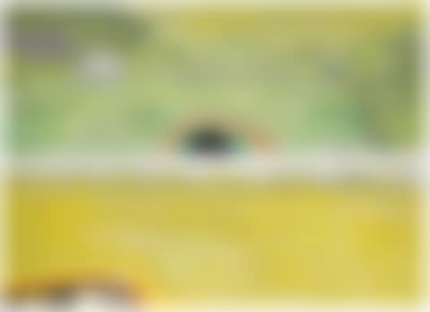 Country-rock (wing-mirror)  (preview)